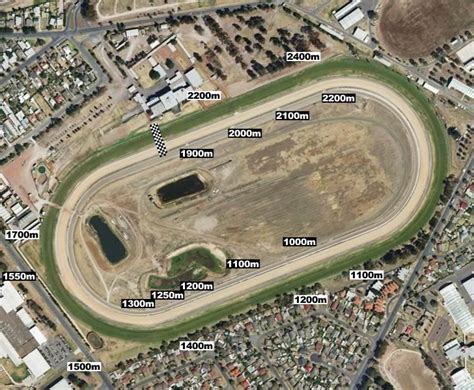 Geelong Horse Racing Form Guide, Speed Maps & Odds .